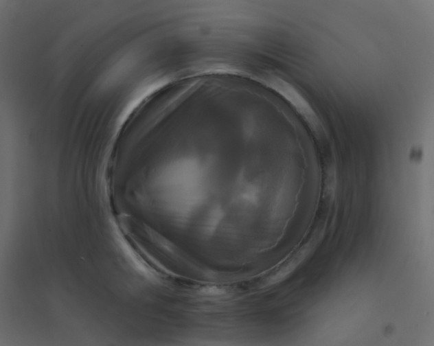 X0000094920806200712131513