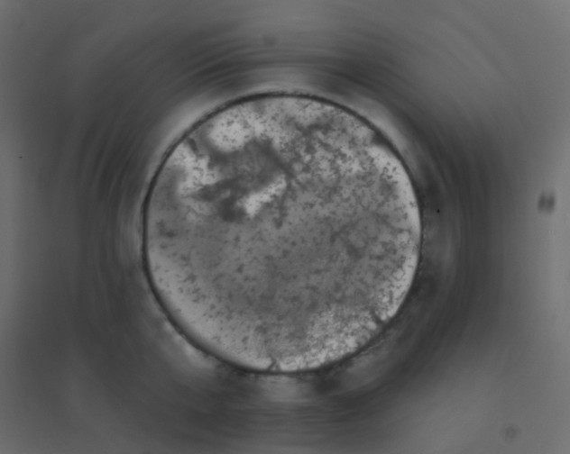 X0000094920807200712131513