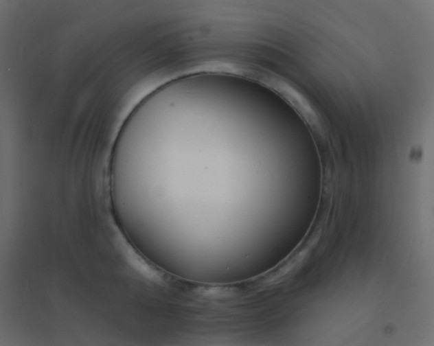 X0000094920808200712131513