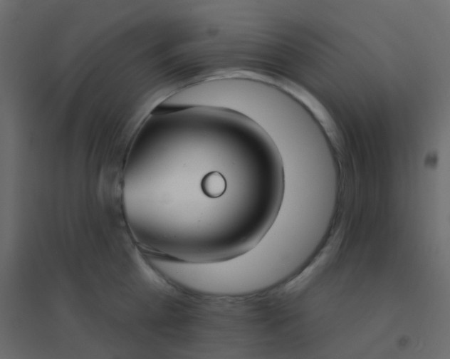 X0000094920809200712131513