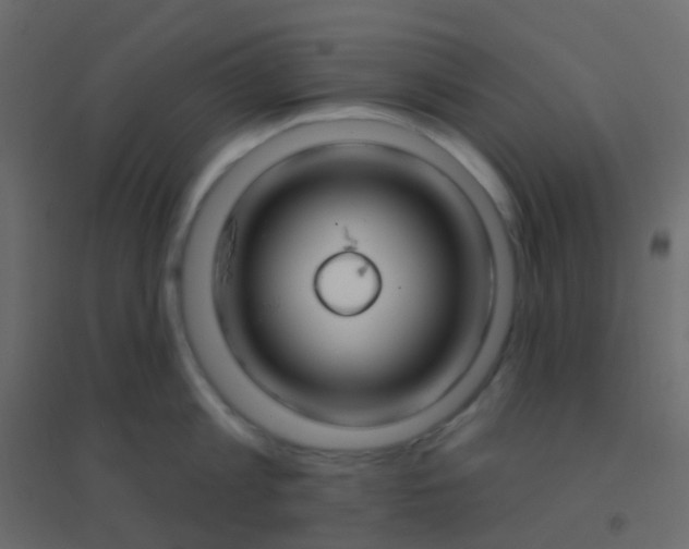 X0000094920813200712131513