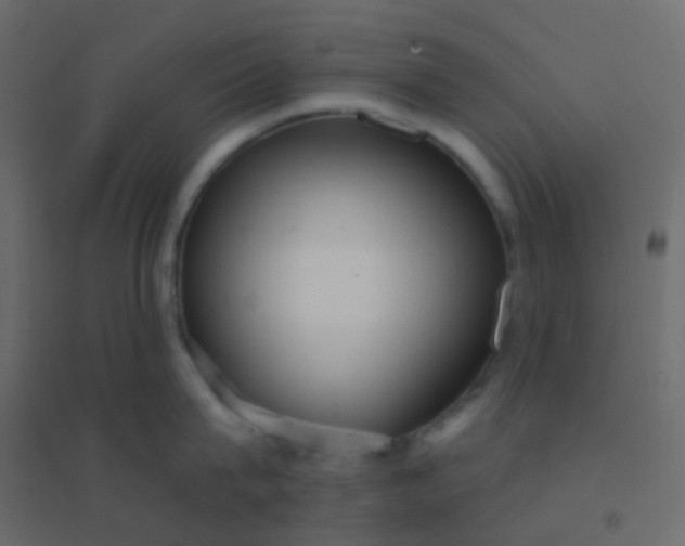 X0000094920815200712131513