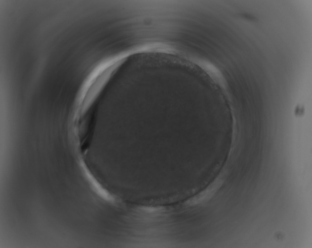 X0000094920816200712131513