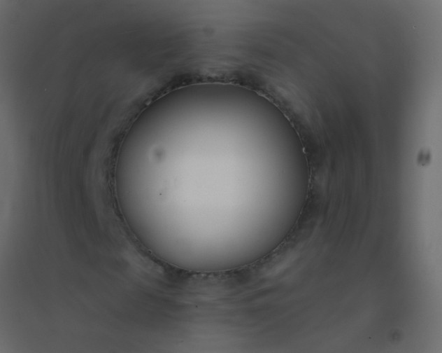 X0000094920817200712131512