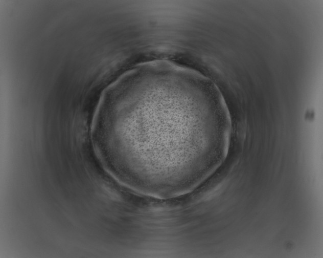 X0000094920818200712131512