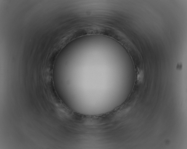 X0000094920819200712131512