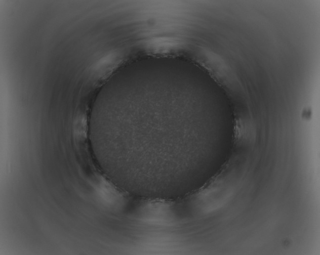 X0000094920820200712131512