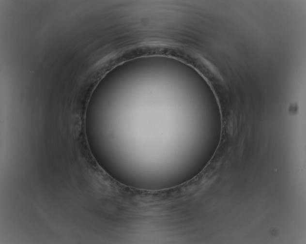 X0000094920821200712131512