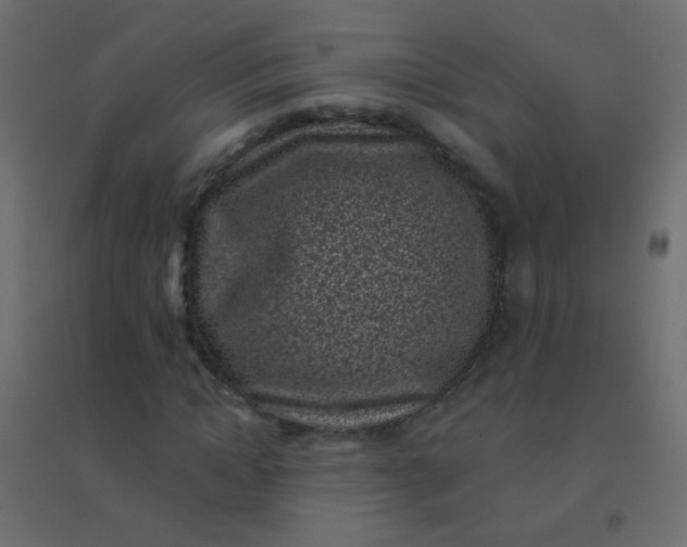 X0000094920822200712131512