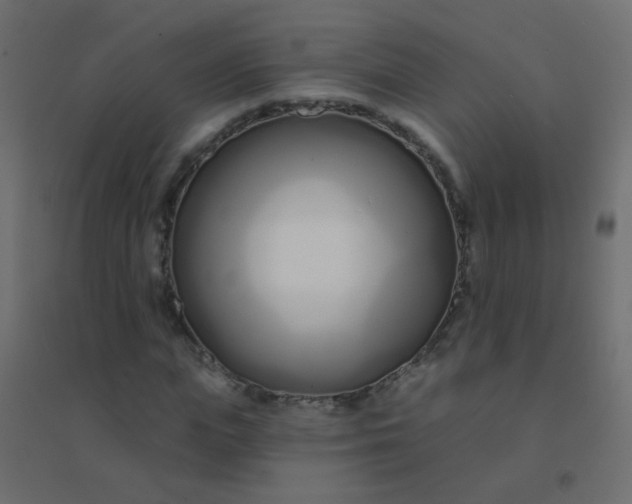 X0000094920823200712131512