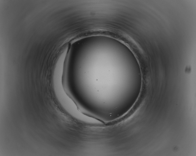 X0000094920825200712131512