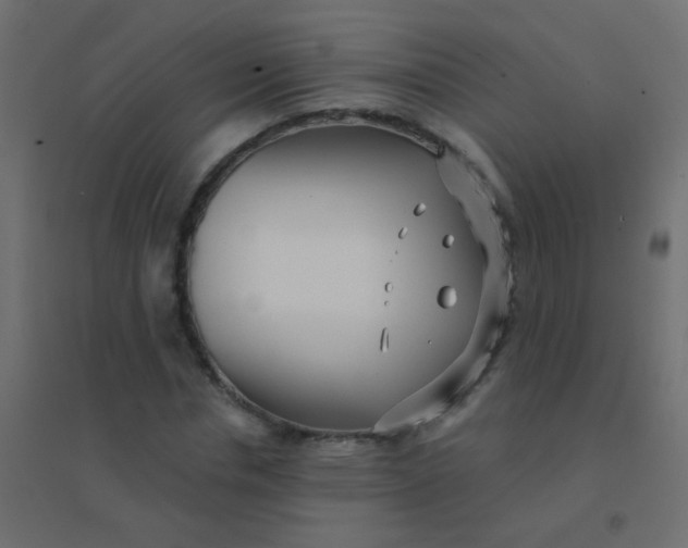 X0000094920826200712131512