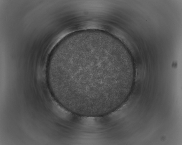 X0000094920828200712131512