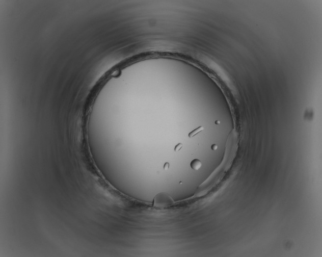 X0000094920829200712131512