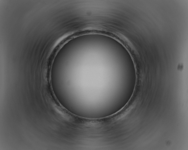 X0000094920830200712131513