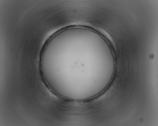 X0000094920831200712131513