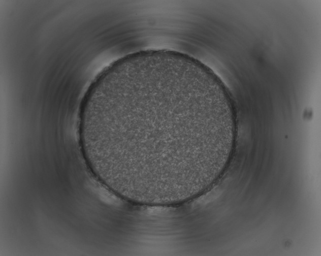 X0000094920832200712131513