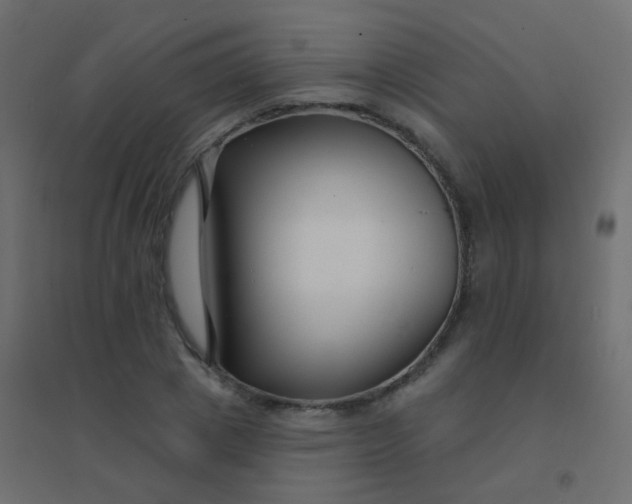 X0000094920833200712131513