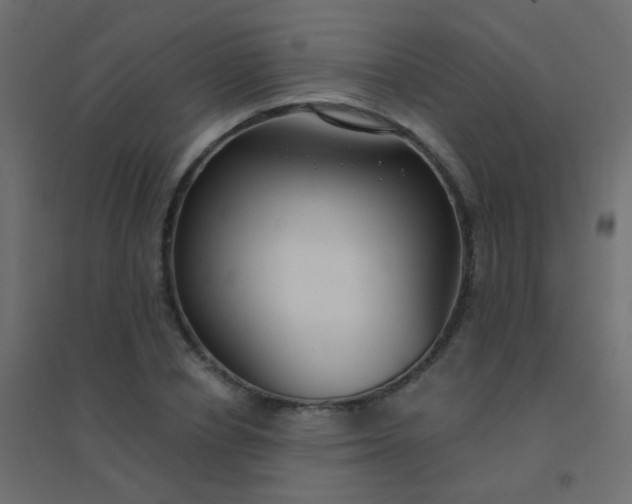 X0000094920834200712131513