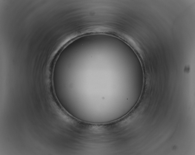 X0000094920835200712131513