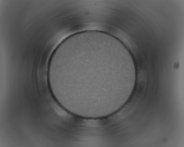 X0000094920836200712131513