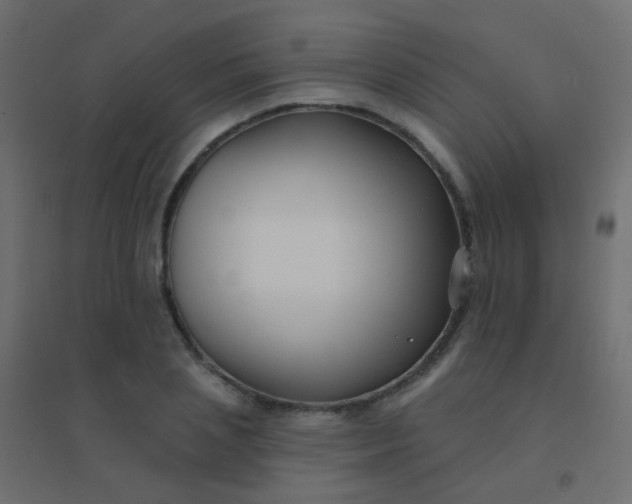 X0000094920837200712131513