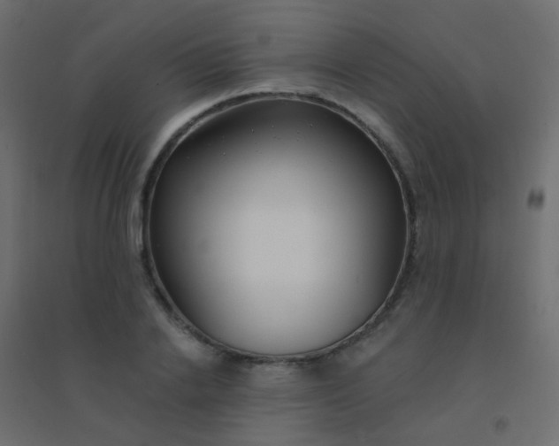 X0000094920838200712131513