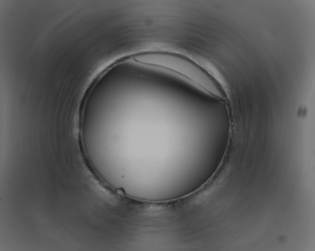 X0000094920839200712131513