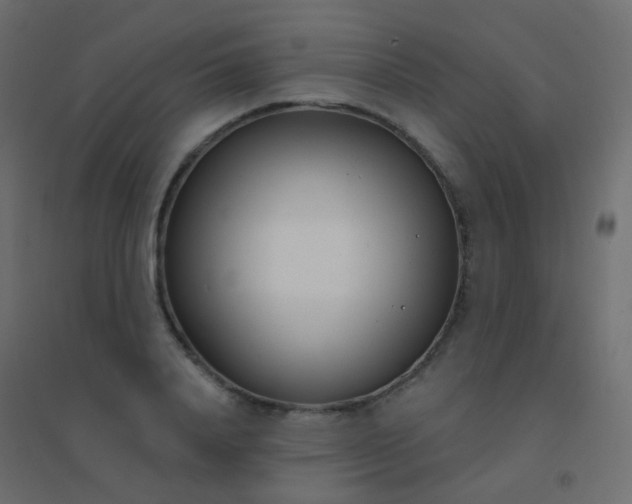 X0000094920840200712131513