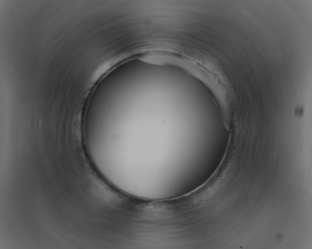 X0000094920842200712131513