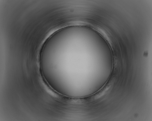 X0000094920843200712131513