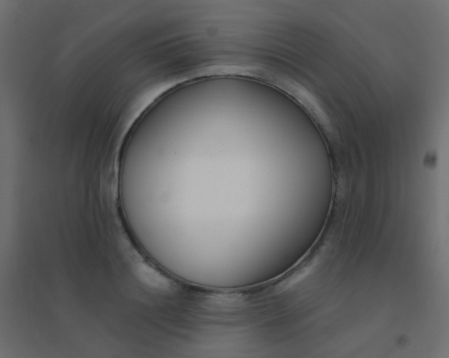 X0000094920844200712131513