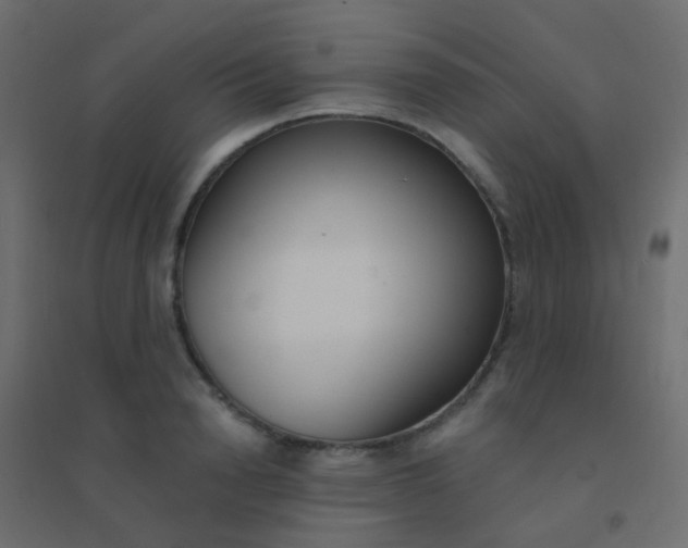 X0000094920846200712131513