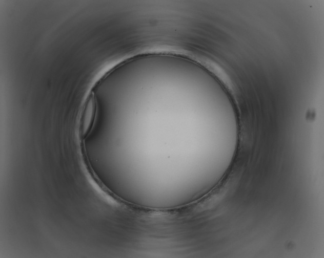 X0000094920847200712131513