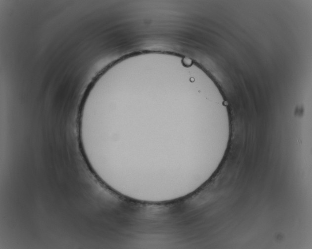 X0000094920848200712131513