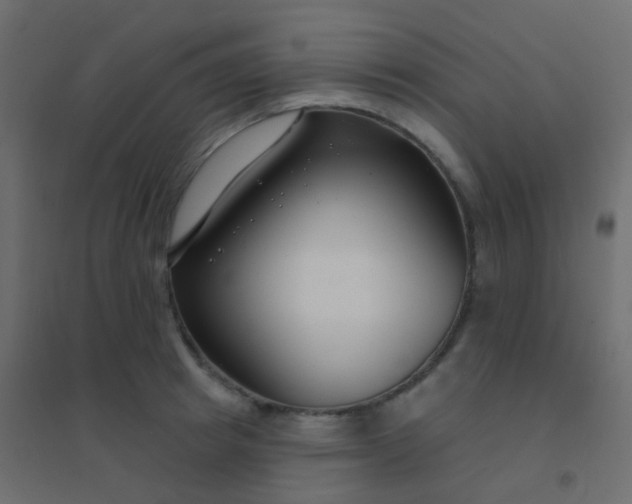 X0000094920849200712131513