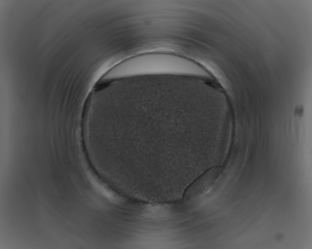 X0000094920850200712131513