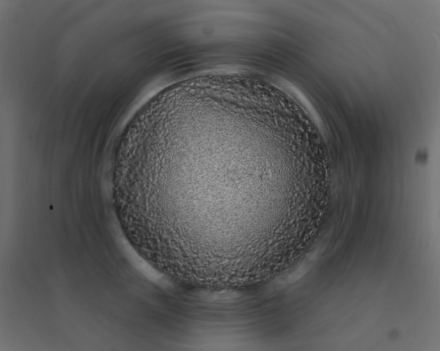 X0000094920851200712131513