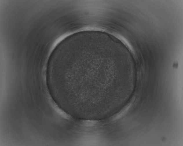 X0000094920854200712131513