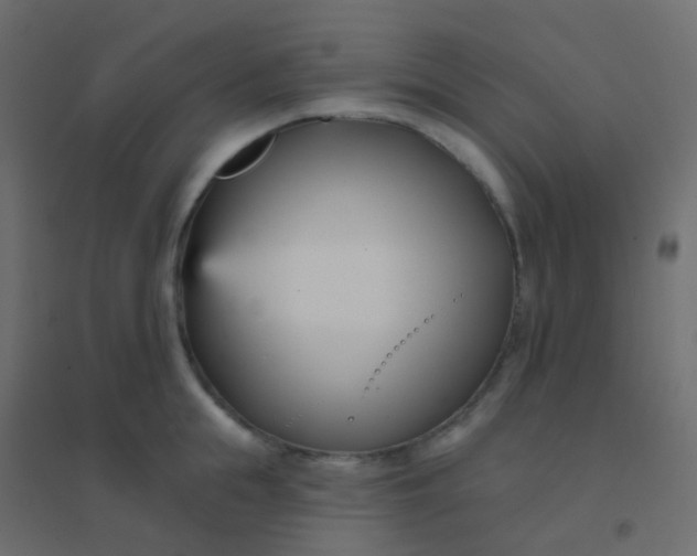 X0000094920855200712131513