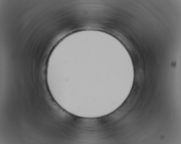 X0000094920856200712131513