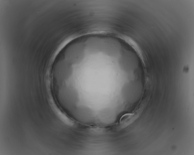 X0000094920859200712131513