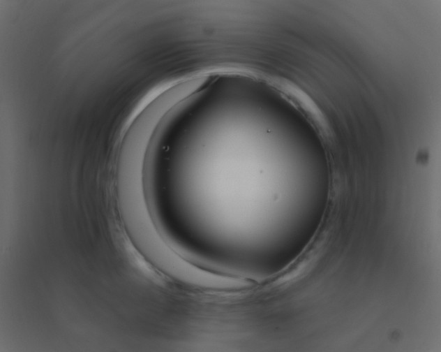 X0000094920860200712131513