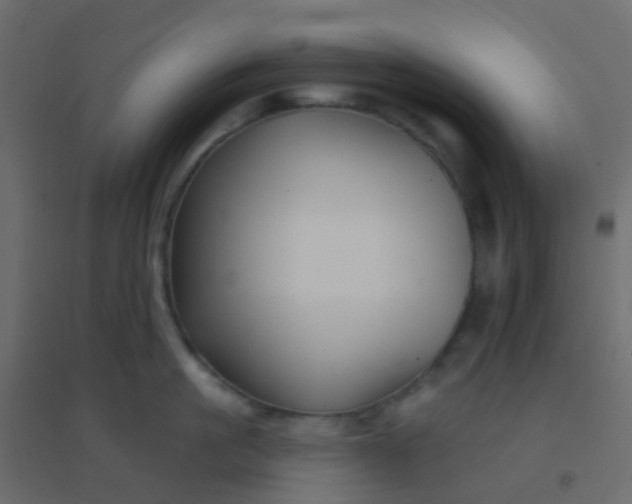 X0000094920861200712131513