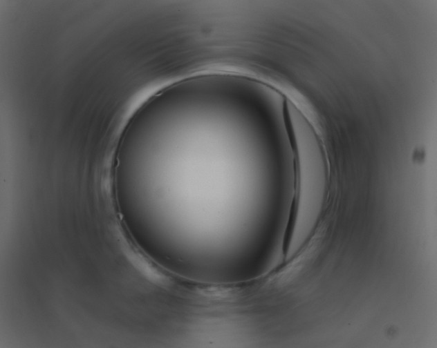 X0000094920862200712131513