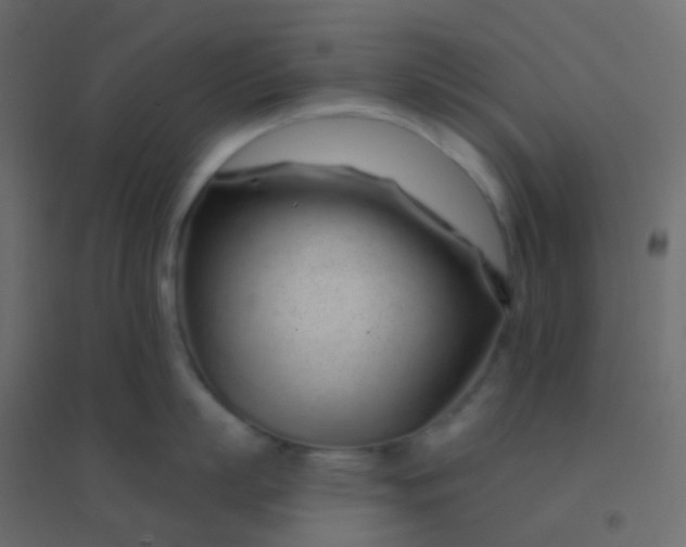 X0000094920863200712131513