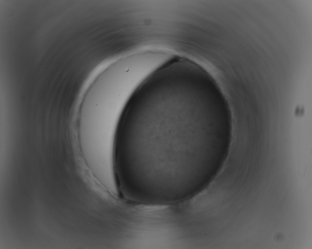 X0000094920864200712131513