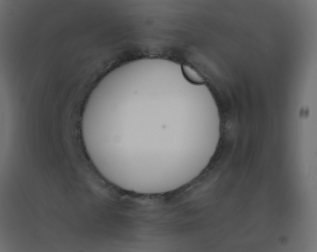 X0000094920865200712131512