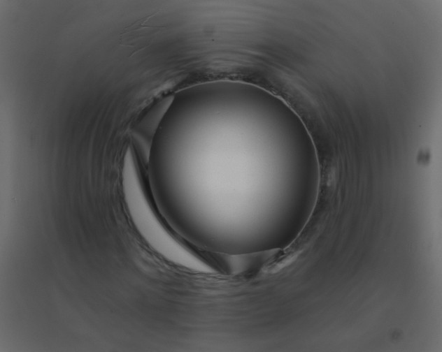 X0000094920868200712131512