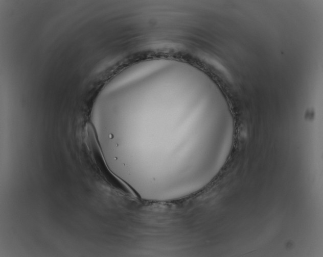 X0000094920869200712131512